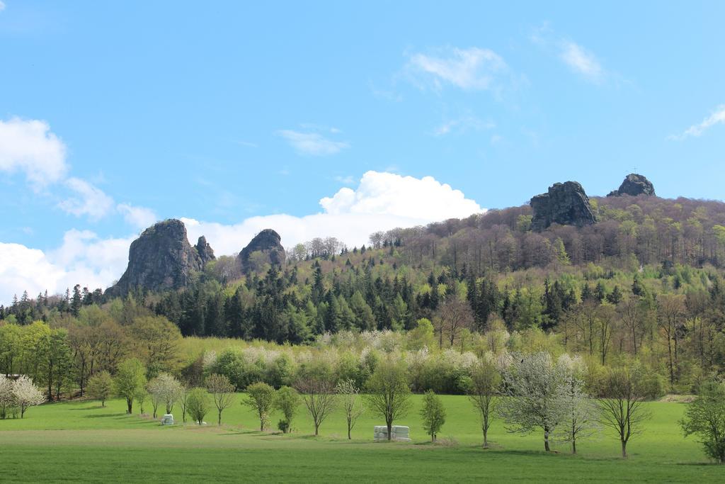 Ferienwohnung Moos-Hochsauerland Wiemeringhausen Rum bild