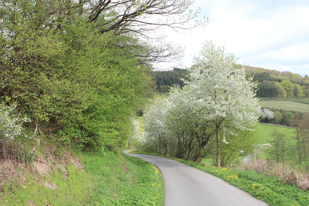 Ferienwohnung Moos-Hochsauerland Wiemeringhausen Rum bild